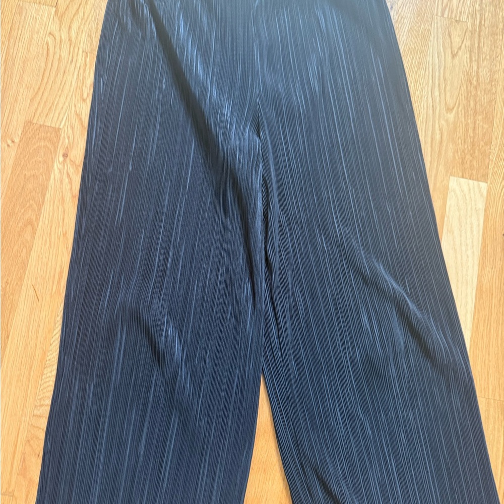 Madewell Black Pleated Wide-Leg Pants